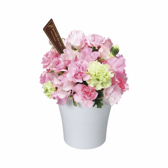 千葉県八千代市の花屋 フラワーハウス キキにフラワーギフトはお任せください 当店は 安心と信頼の花キューピット加盟店です 花キューピットタウン